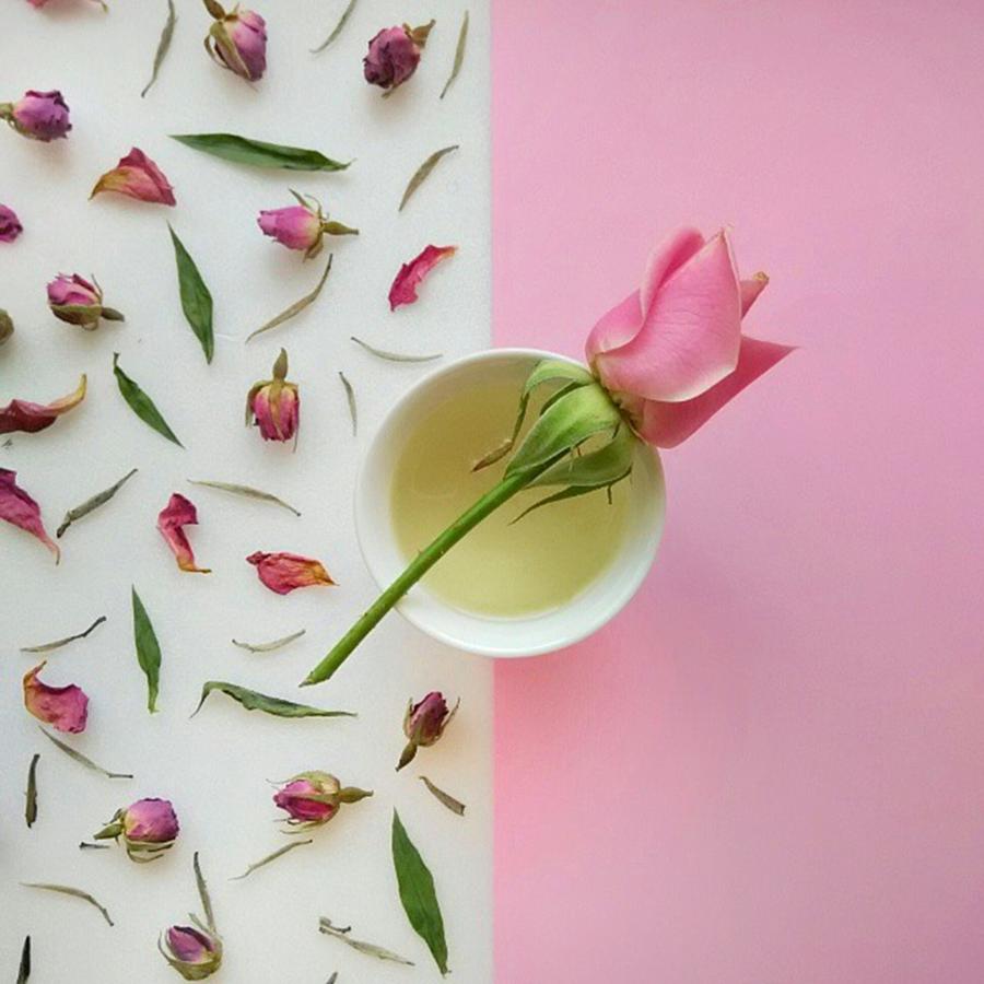 Tea Photograph - Rose Tea by Ann Foo