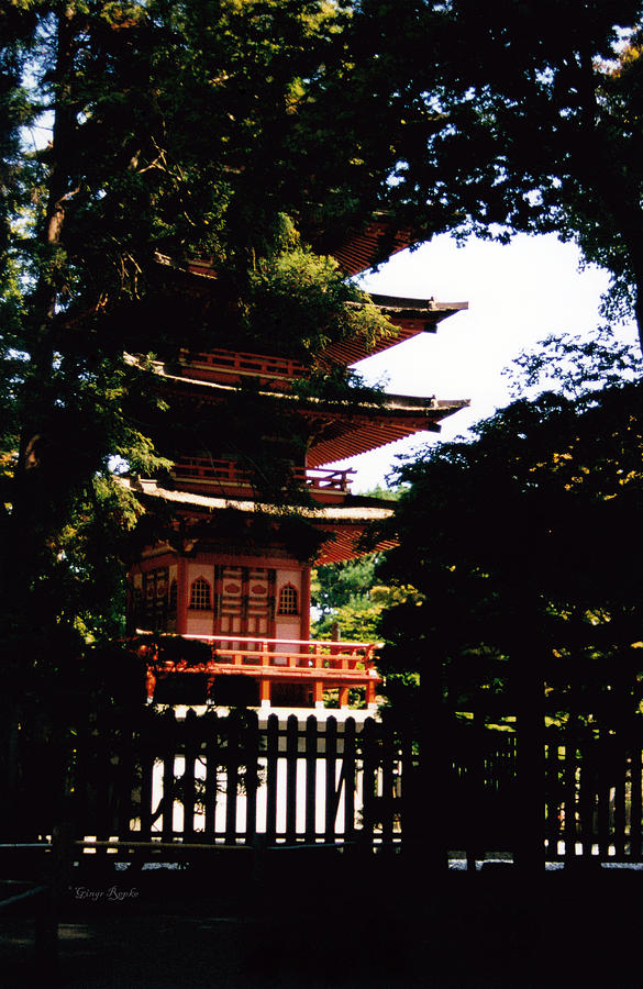 Tea Garden Pagoda Photograph by Ginger Repke