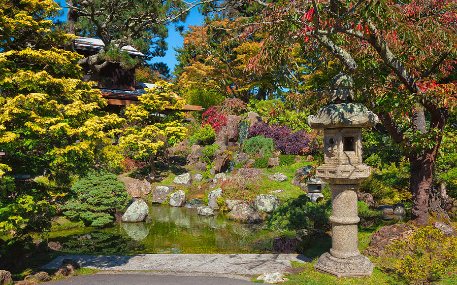 Tea House Gardens Photograph by John M Bailey - Fine Art America