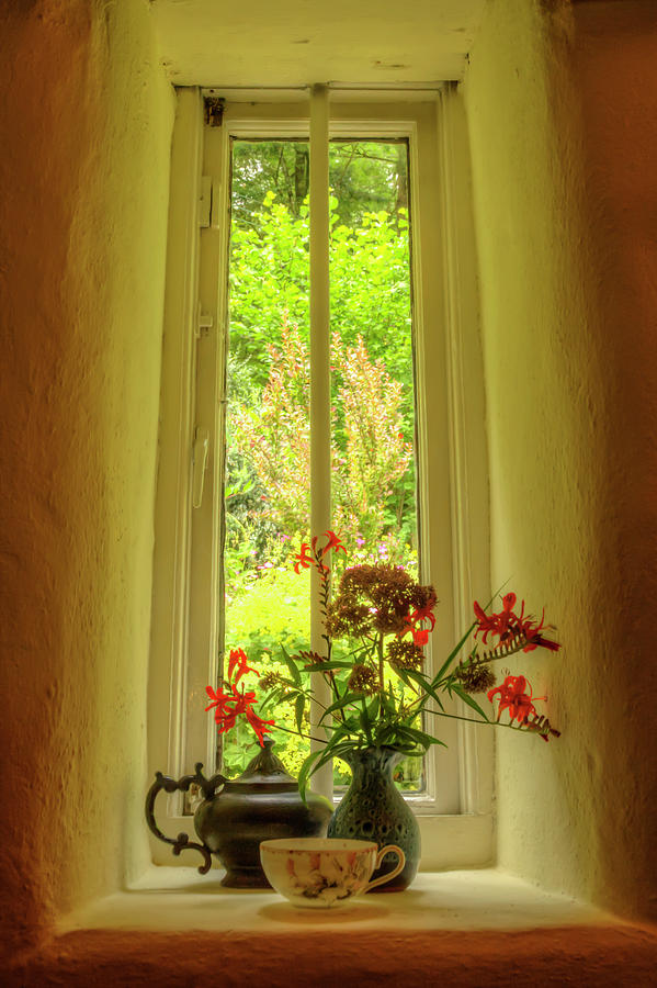 Tea Photograph - Tea room window by Soroush Mostafanejad