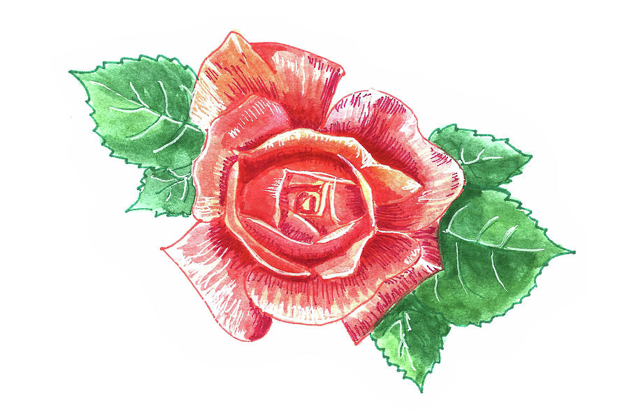 Tea Rose Painting by Masha Batkova