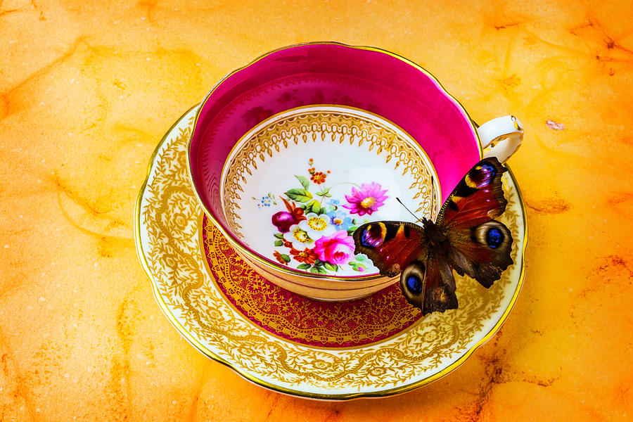 Tea Time With Butterfly Photograph by Garry Gay