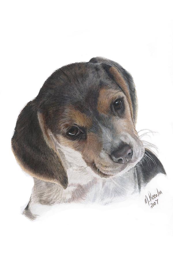 Dogs Painting - Teagan by Marlene Piccolin Dogs Painting - Teagan by Marlene Piccolin