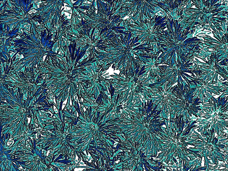 Teal Floral Abstract Digital Art by Doug Morgan