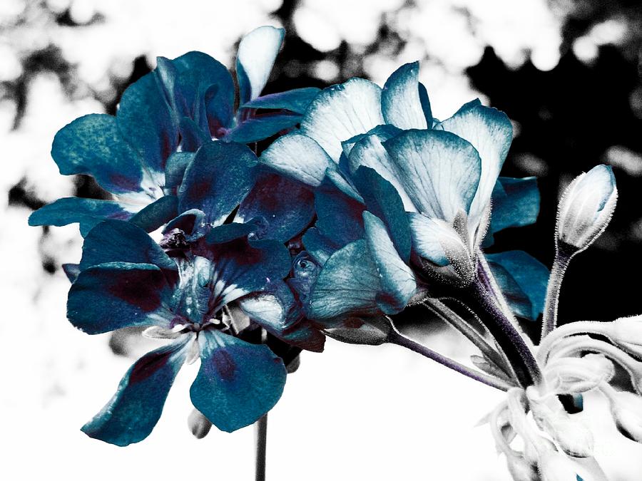 Teal Flowers Pop of Color Digital Art by Johari Smith - Fine Art America