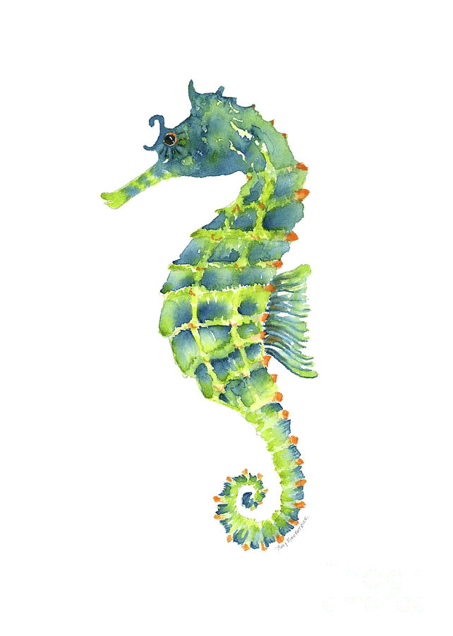 Teal Green Seahorse Painting by Amy Kirkpatrick