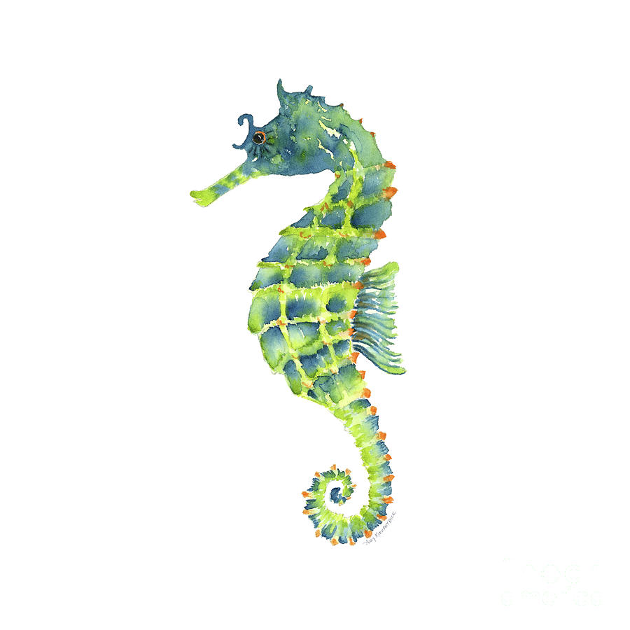 Teal Green Seahorse - Square Painting by Amy Kirkpatrick