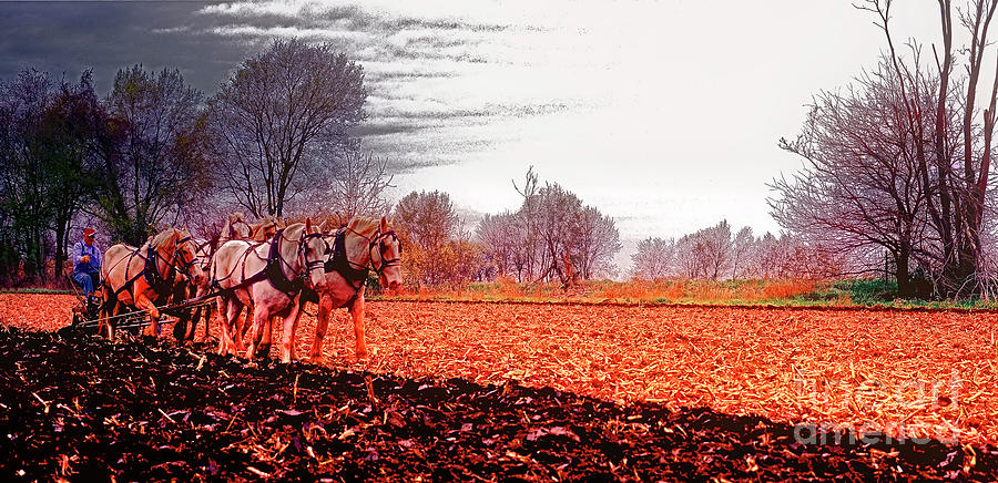  Team Of Draft Horses Plowing Early Spring  Photograph by Tom Jelen