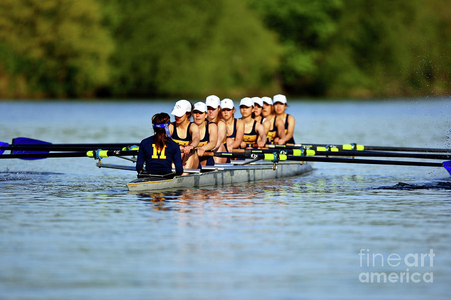 Boat Photograph - Teamwork by Dave Hein