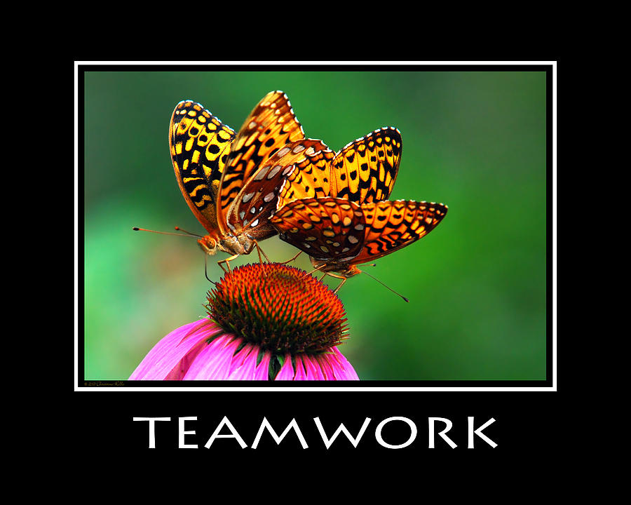 Teamwork Inspirational Motivational Poster Art Photograph ...