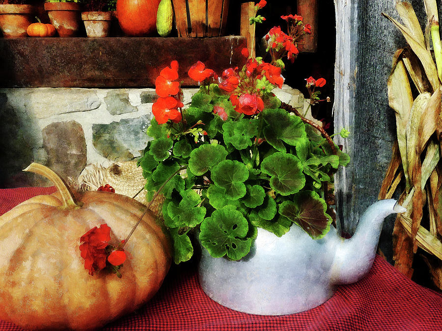Teapot Filled With Geraniums Photograph by Susan Savad