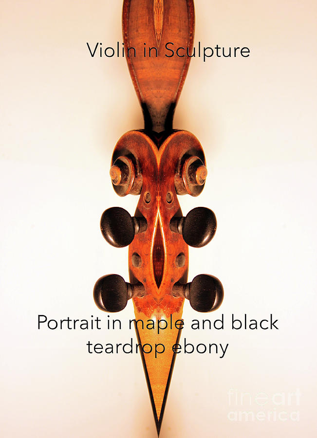 Violin Photograph - Teardrop Ebony by Steven Digman Violin Photograph - Teardrop Ebony by Steven Digman