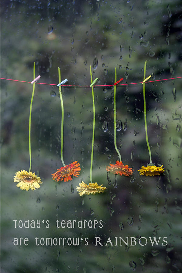 Teardrops Photograph by Joana Kruse
