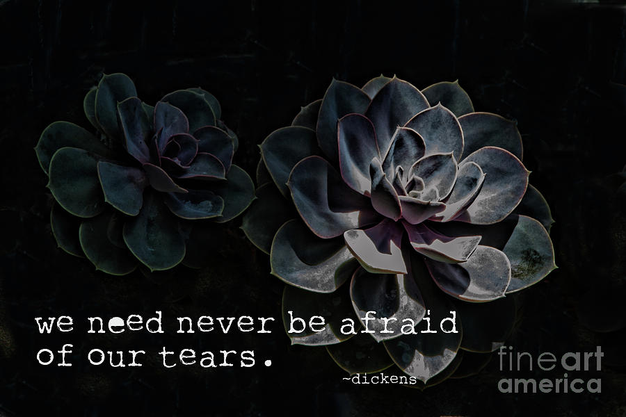 Tears and Fears Photograph by Marilyn Cornwell