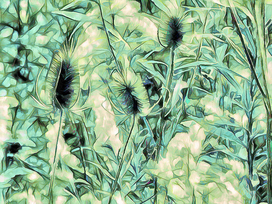 Teasel In Abstract - Blue Green Photograph by Leslie Montgomery