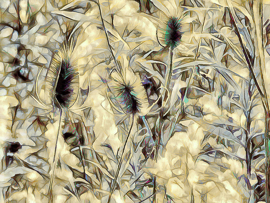 Teasel In Abstract - Earthy Photograph by Leslie Montgomery