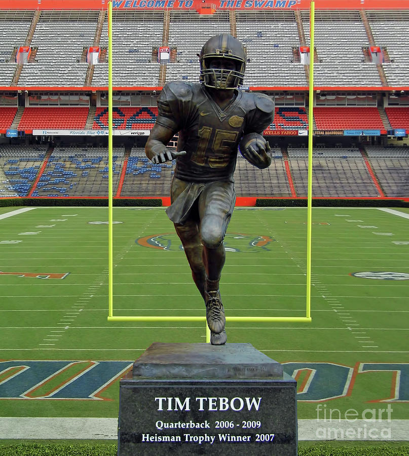 Tim Tebow Photograph - Tebow In The Swamp by D Hackett