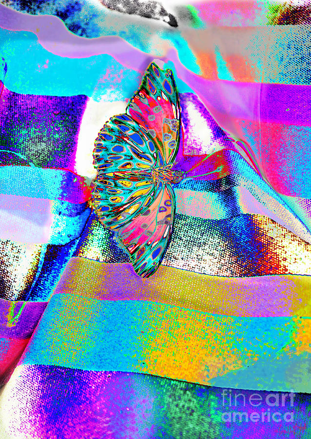 Technicolor Buttterfly Photograph by Priscilla Batzell Expressionist Art Studio Gallery