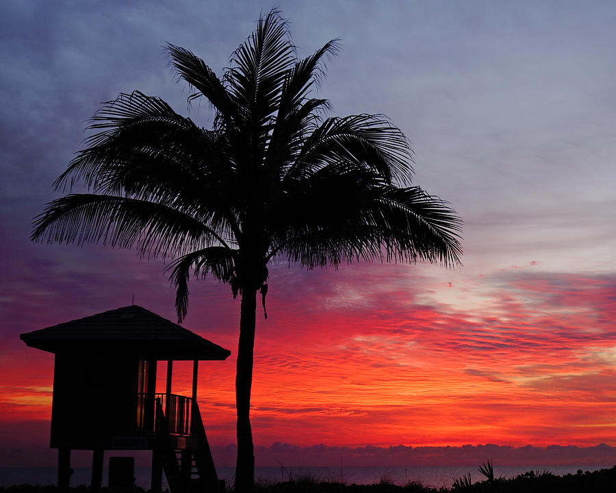 Technicolor Sunrise Delray Beach Photograph by Lawrence S Richardson Jr