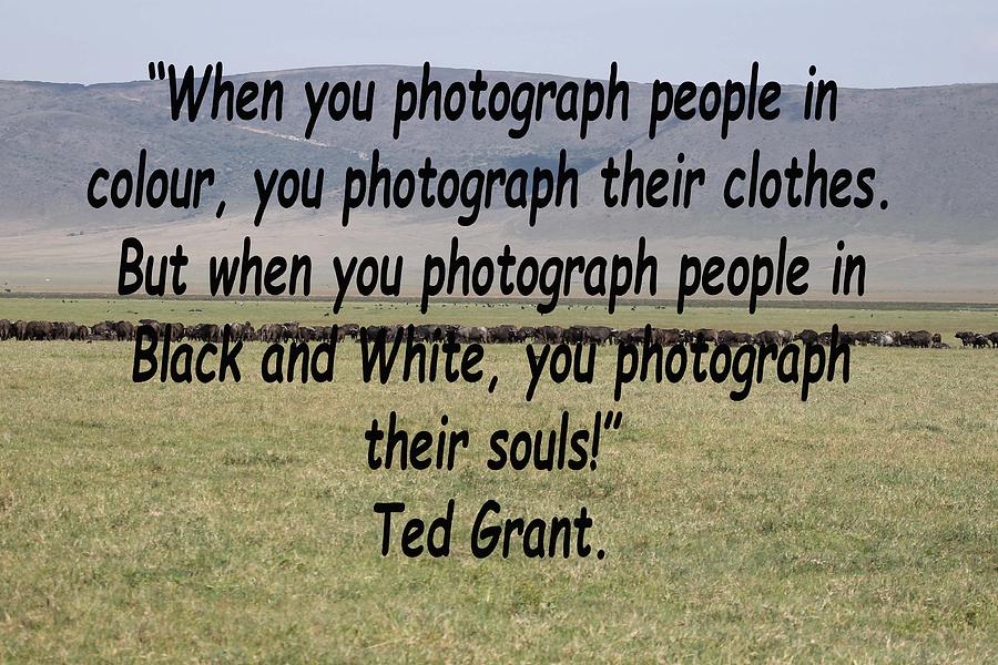 Ted Grant Quote Photograph by Tony Murtagh