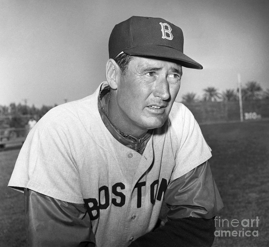 Ted Williams #1 Photograph by Granger