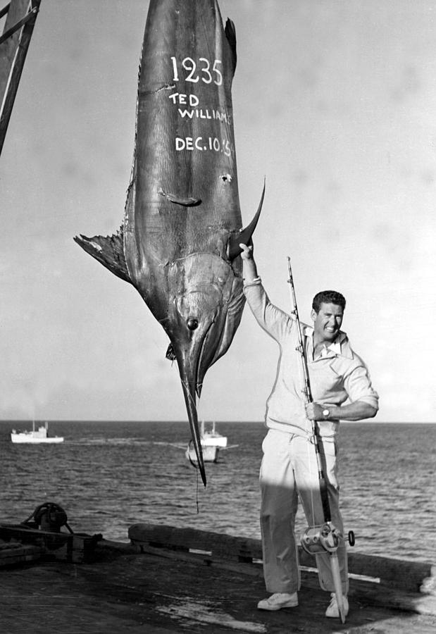 Swordfish Photograph - Ted Williams Displays Deep-sea Fishing by Everett