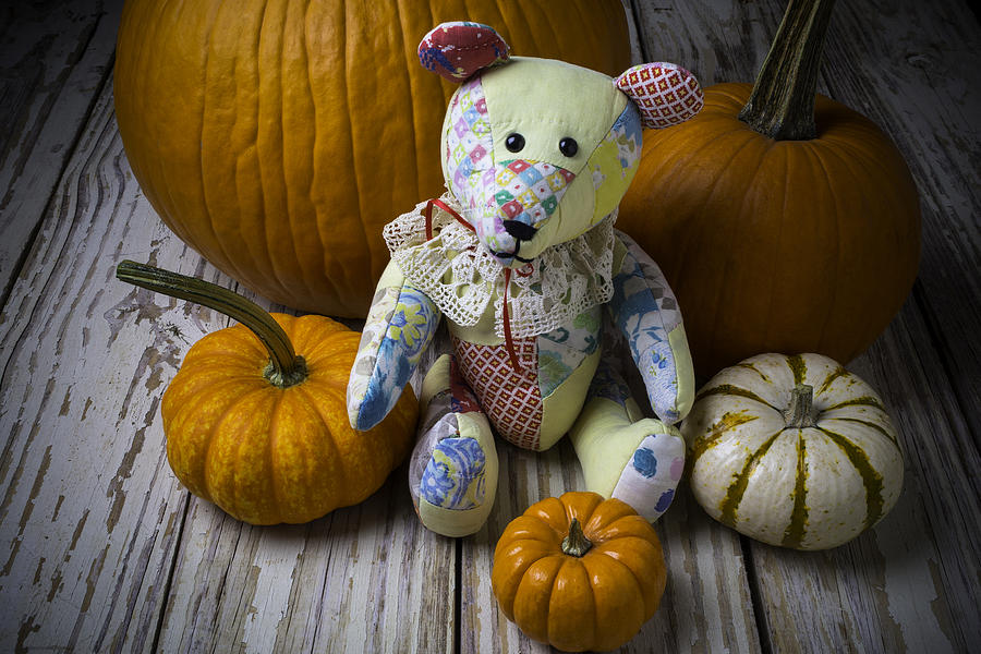 Bear Photograph - Teddy Bear And Pumpkins by Garry Gay