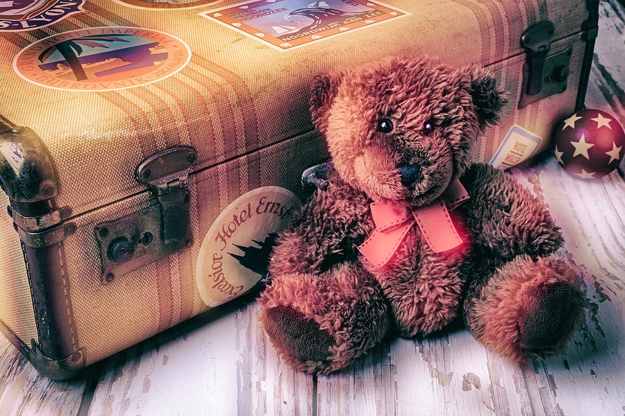 Teddy Bear And Suitcase Photograph by Garry Gay