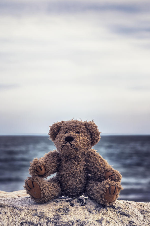 Teddy bears best sale by the sea