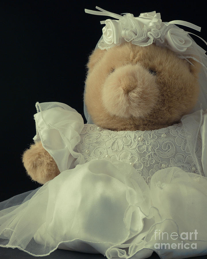 Teddy Bear Bride Photograph by Edward Fielding