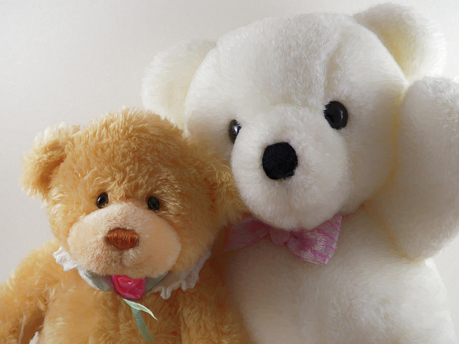 Teddy Bear Couple Photograph
