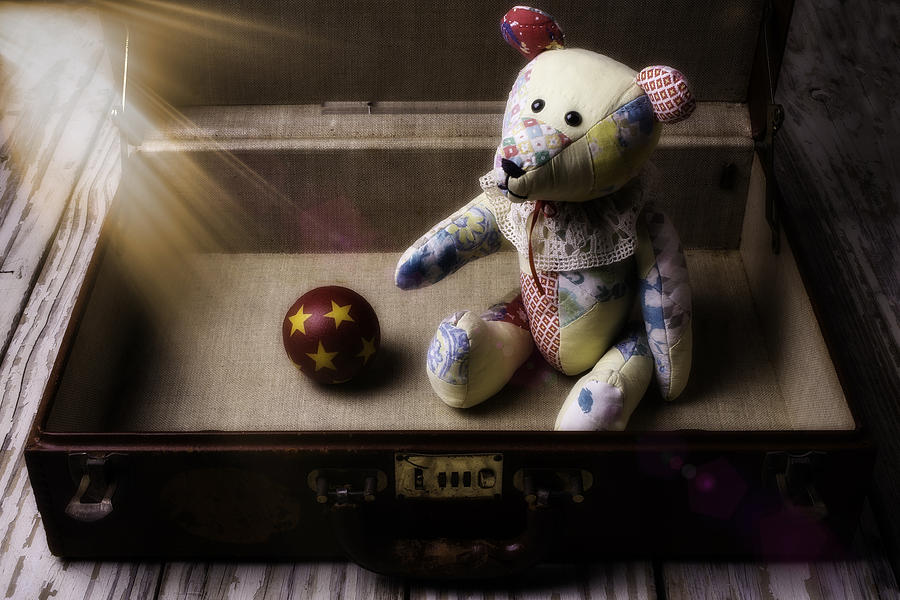 Teddy Bear In Suitcase Photograph by Garry Gay