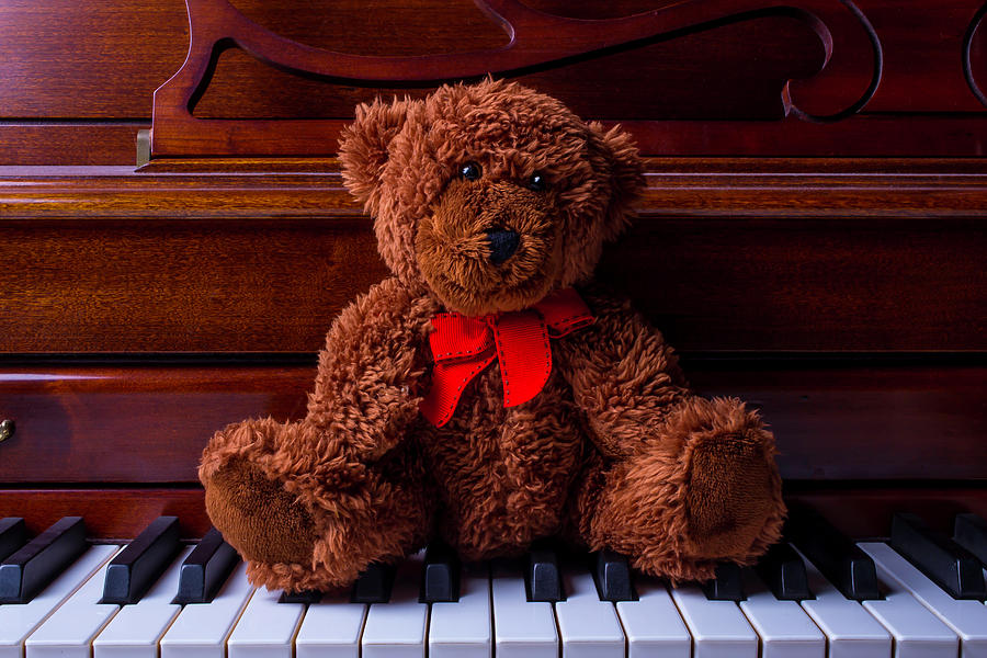 Piano Photograph - Teddy Bear On Piano Keys by Garry Gay