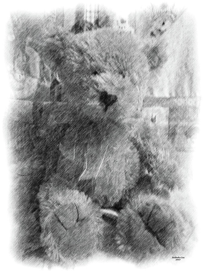 Teddy Bear Sketch Digital Art by Artful Oasis