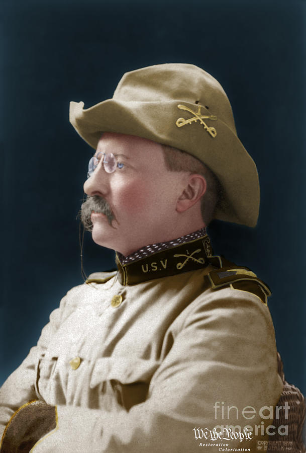 teddy roosevelt hat style