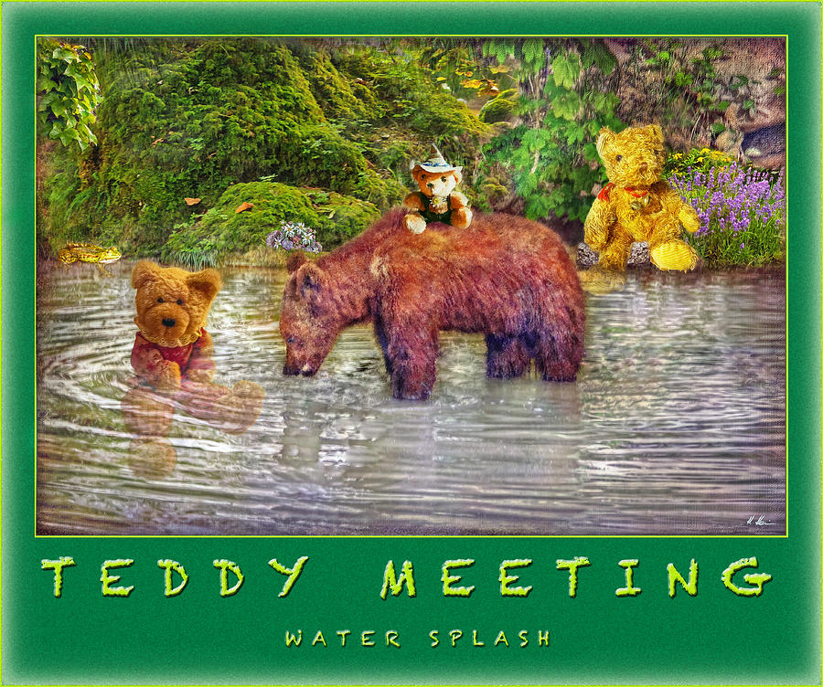 Teddys Water Splash Photograph by Hanny Heim