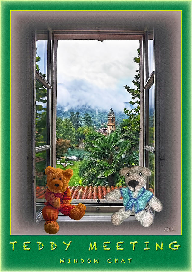 Teddys Window Chat Photograph by Hanny Heim