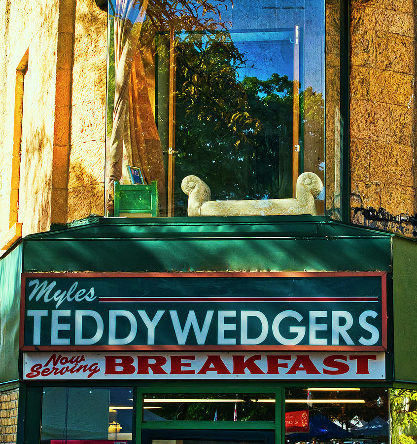 Madison Photograph - Teddywedgers - Madison - Wisconsin by Steven Ralser