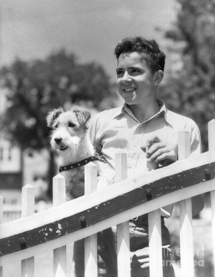 Teen Boy With Fox Terrier, C.1930s Photograph by H. Armstrong Roberts/ClassicStock