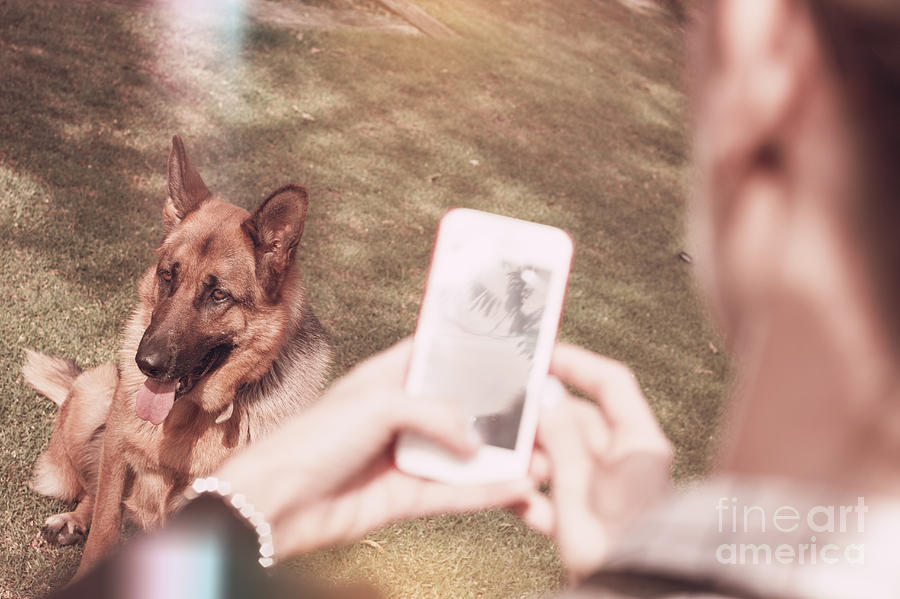 Teen girl taking photo of dog with smartphone Photograph by Jorgo Photography