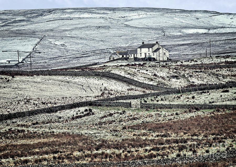 Teesdale in Winter Photograph by Martyn Arnold