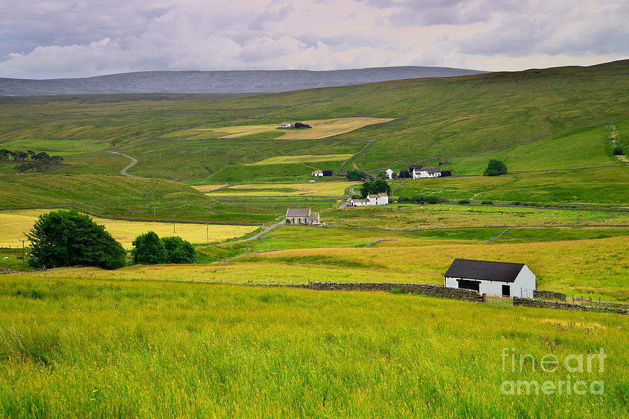Teesdale Landscape Photograph by Martyn Arnold