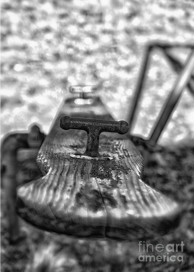 Teeter Totter by Bitter Buffalo Photography Teeter Totter by Bitter Buffalo Photography