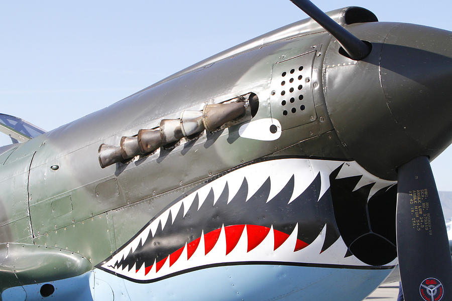 Airplane Photograph - Teeth of the P-40 by Shoal Hollingsworth