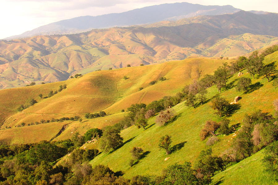 Tehachapi Topography Photograph by Joshua Bales