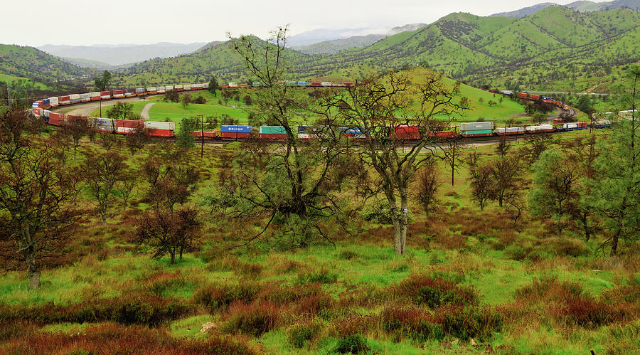 Tehachapi Train Loop Photograph by Connie Cooper-Edwards