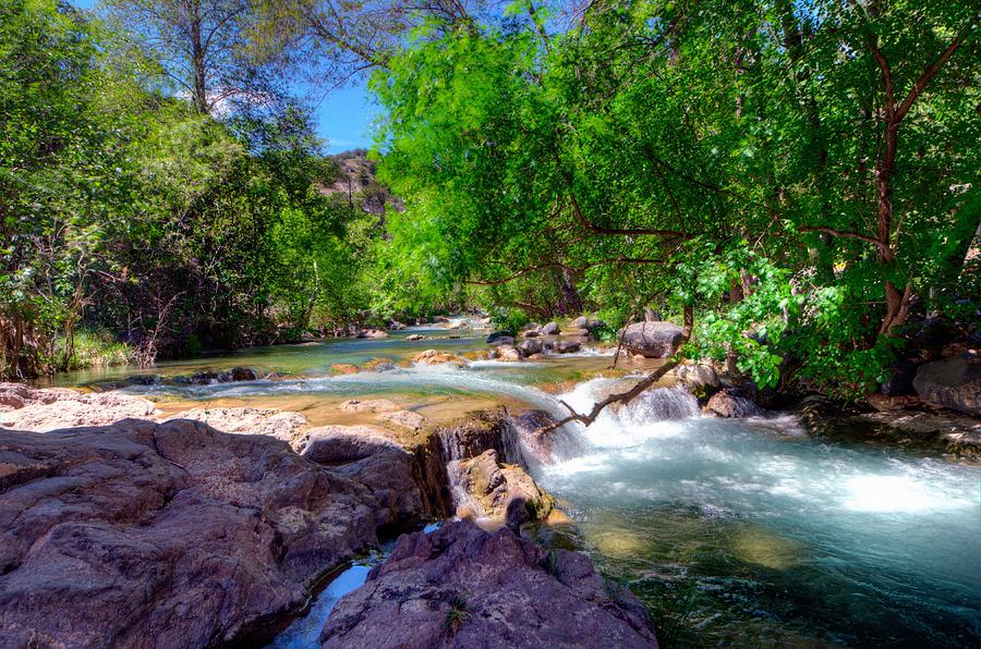 Teirs of Beauty Photograph by Thomas Todd - Fine Art America