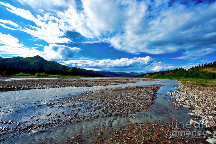 Teklanika River Photograph by David Arment