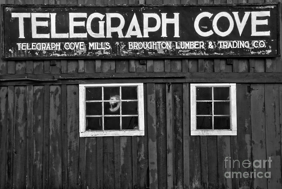 Telegraph Cove Black And White Photograph by Adam Jewell