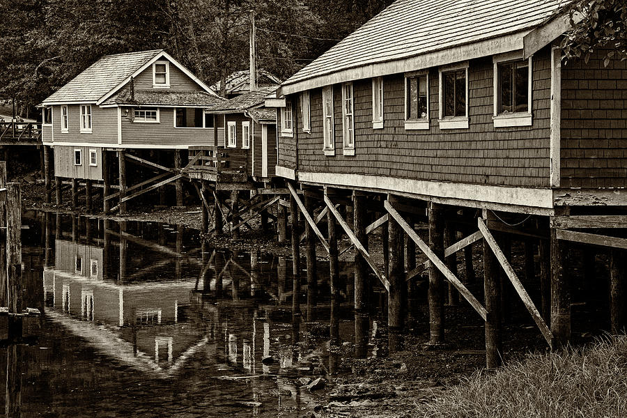 Architecture Photograph - Telegraph Cove Houses - 365-103 by Inge Riis McDonald